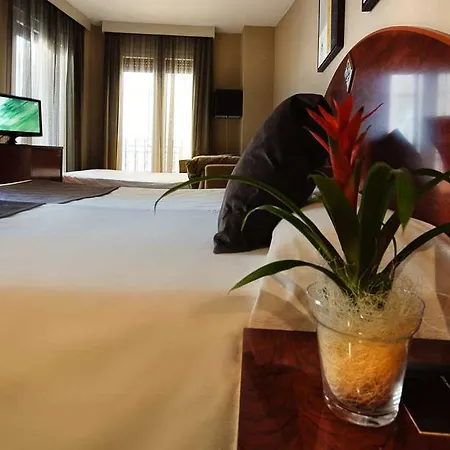 Отель Hotel Torico Plaza