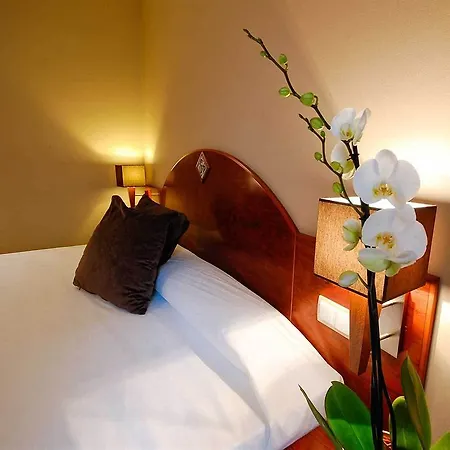 Hotel Torico Plaza 3*