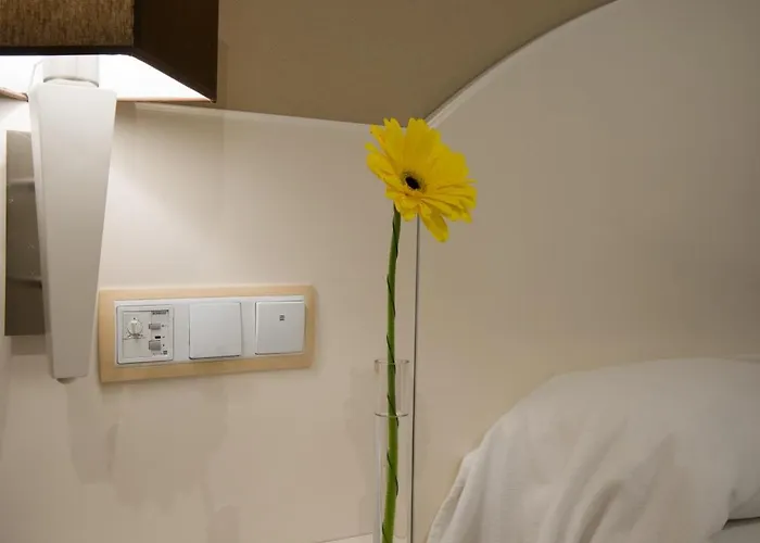 Torico Plaza Hotel 3*